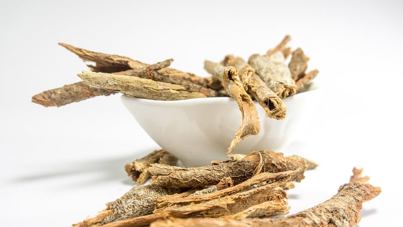 Ayurveda Treatments